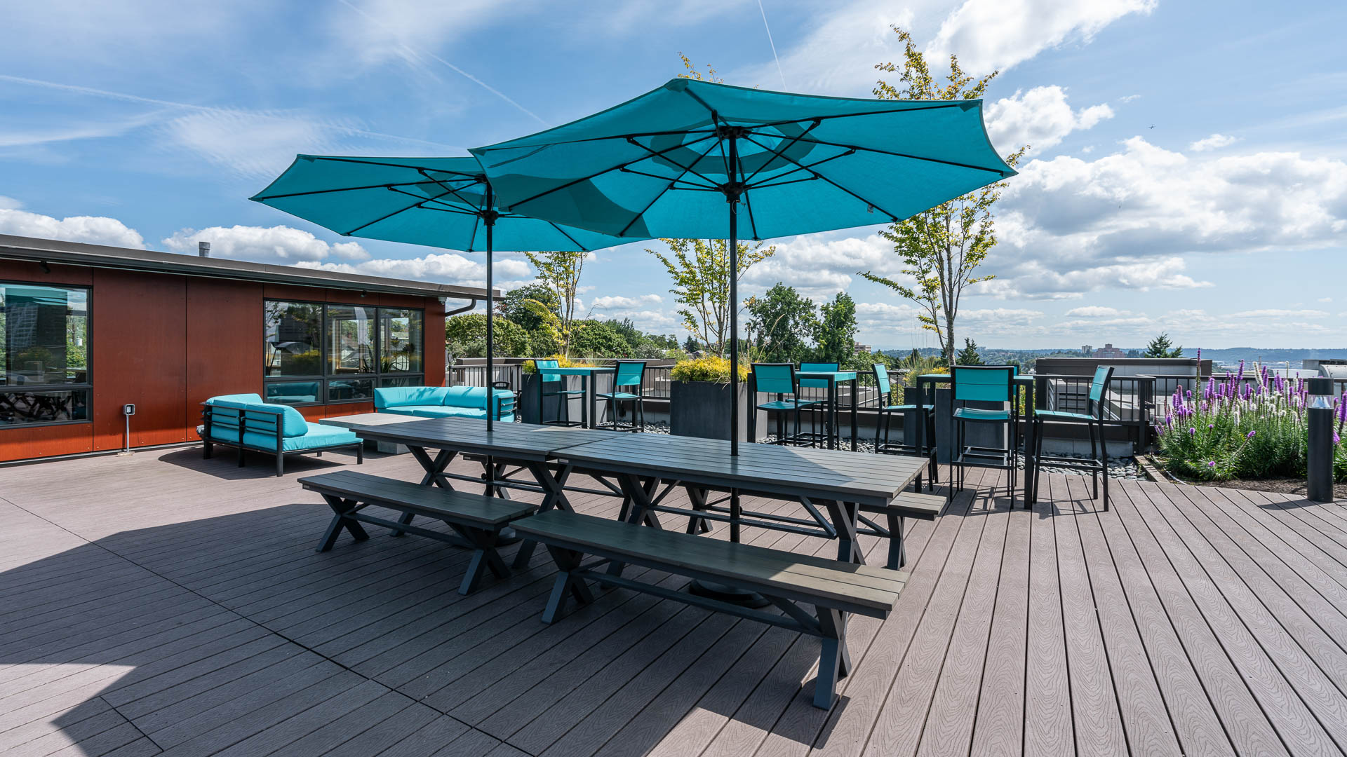 Roof deck at Chloe on Union Apartments (3 of 6)