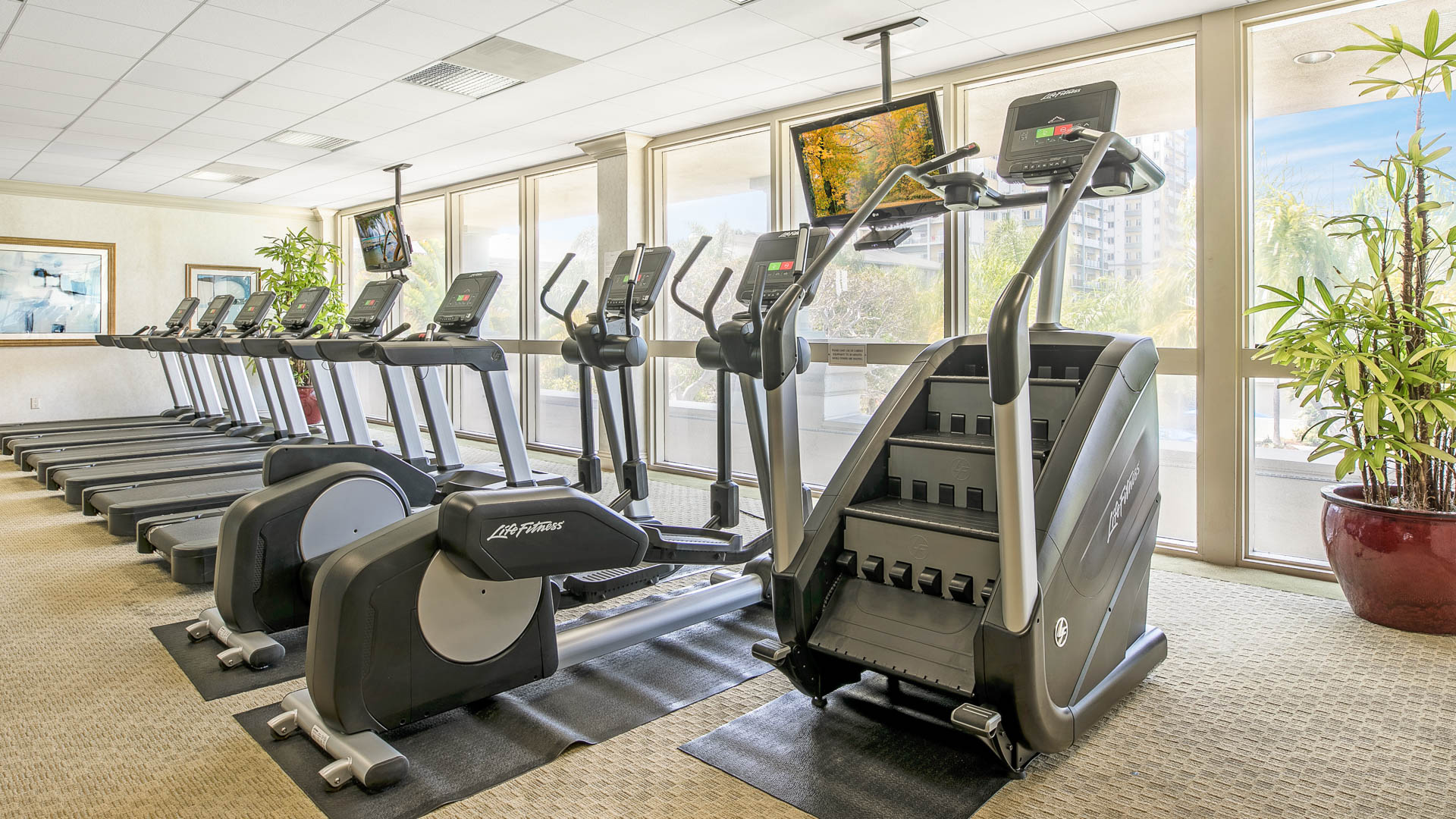 Gym at Pearl Apartments (2 of 3)