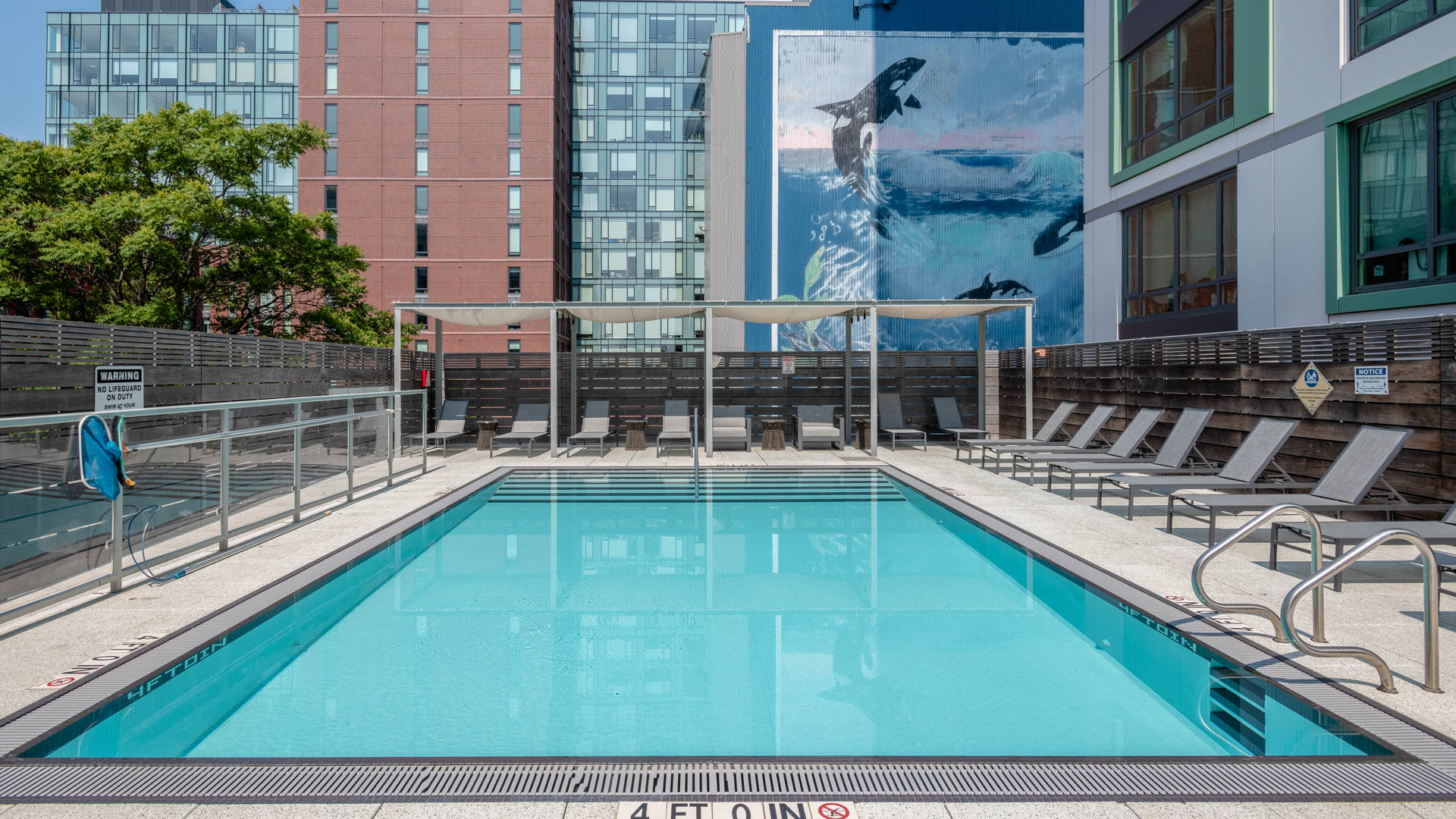 Pool at Troy Boston Apartments (2 of 2)