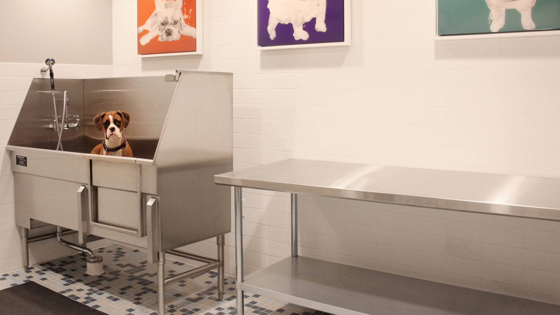 Pet wash at Skyhouse Denver Apartments