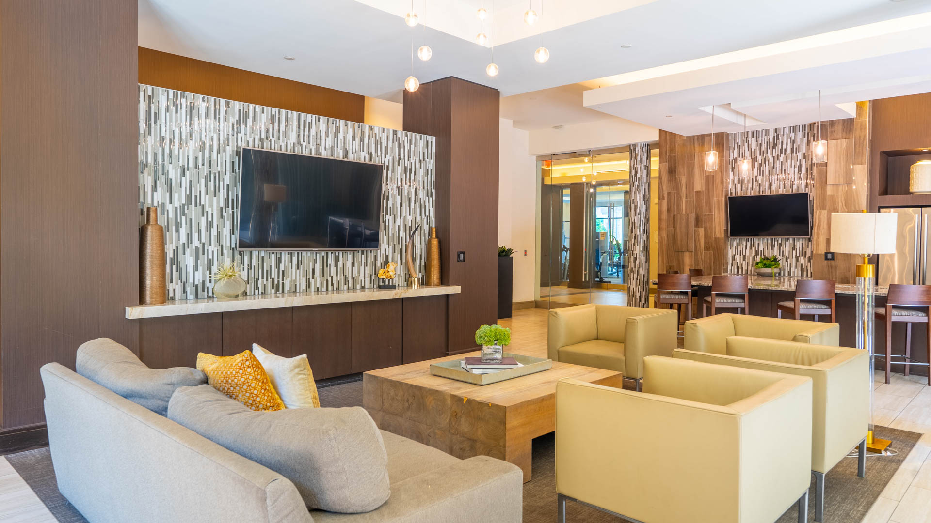Lounge at Axis at Shady Grove Apartments (3 of 5)