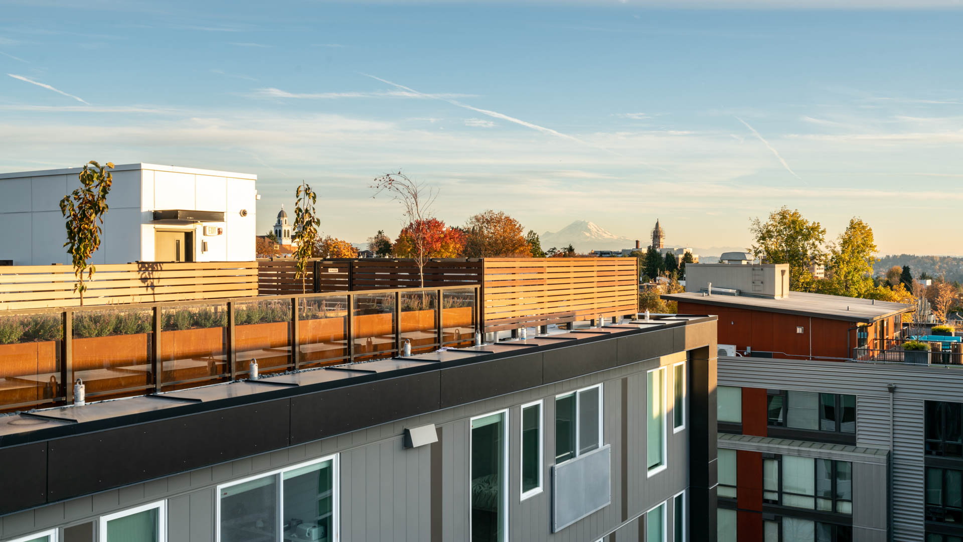 Roof deck at Chloe on Madison Apartments (2 of 4)