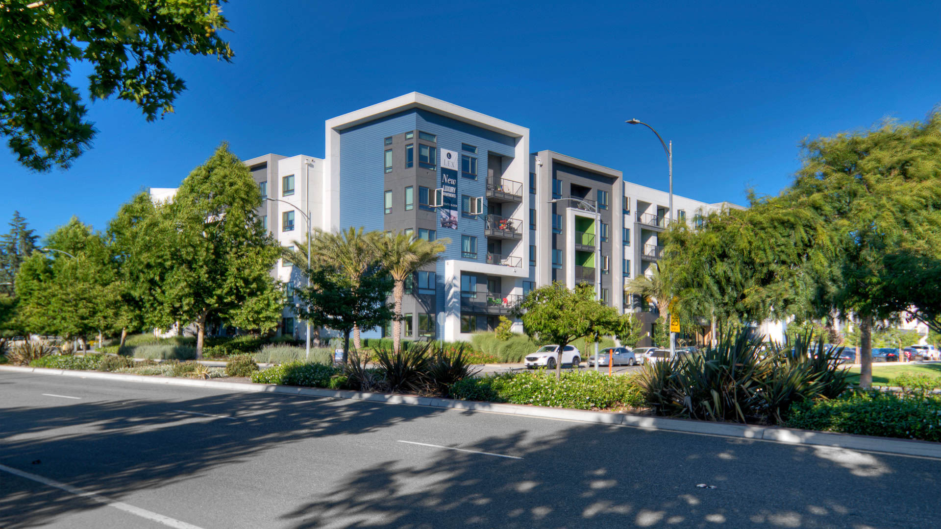The Lex Apartments 2 of 12