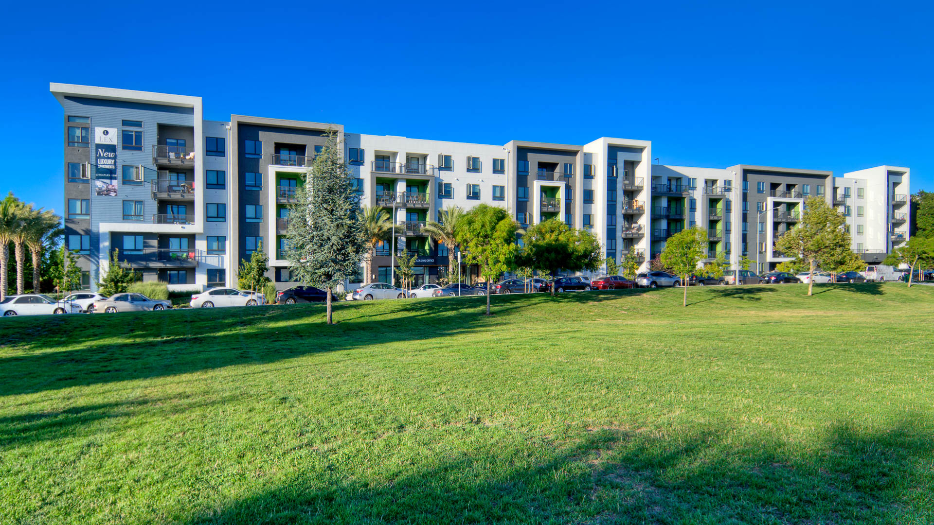 The Lex Apartments 3 of 12