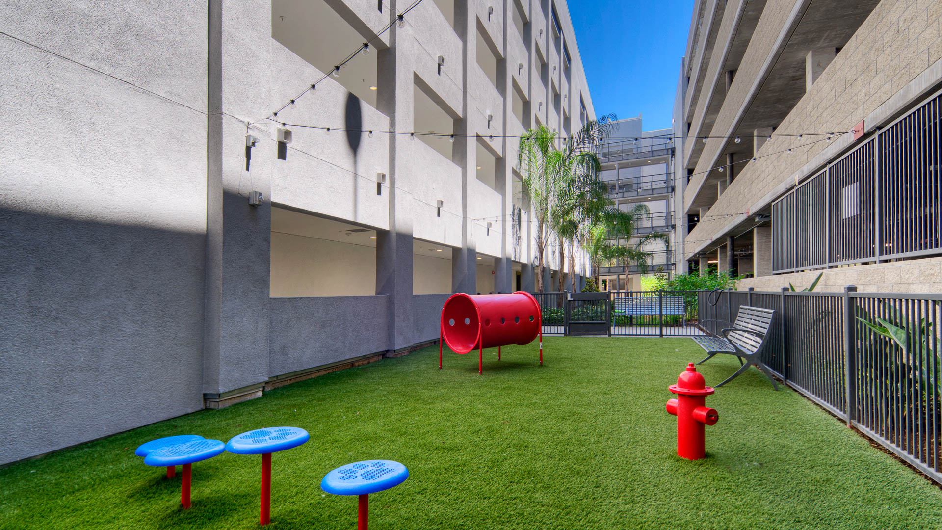 Dog park at The Lex Apartments