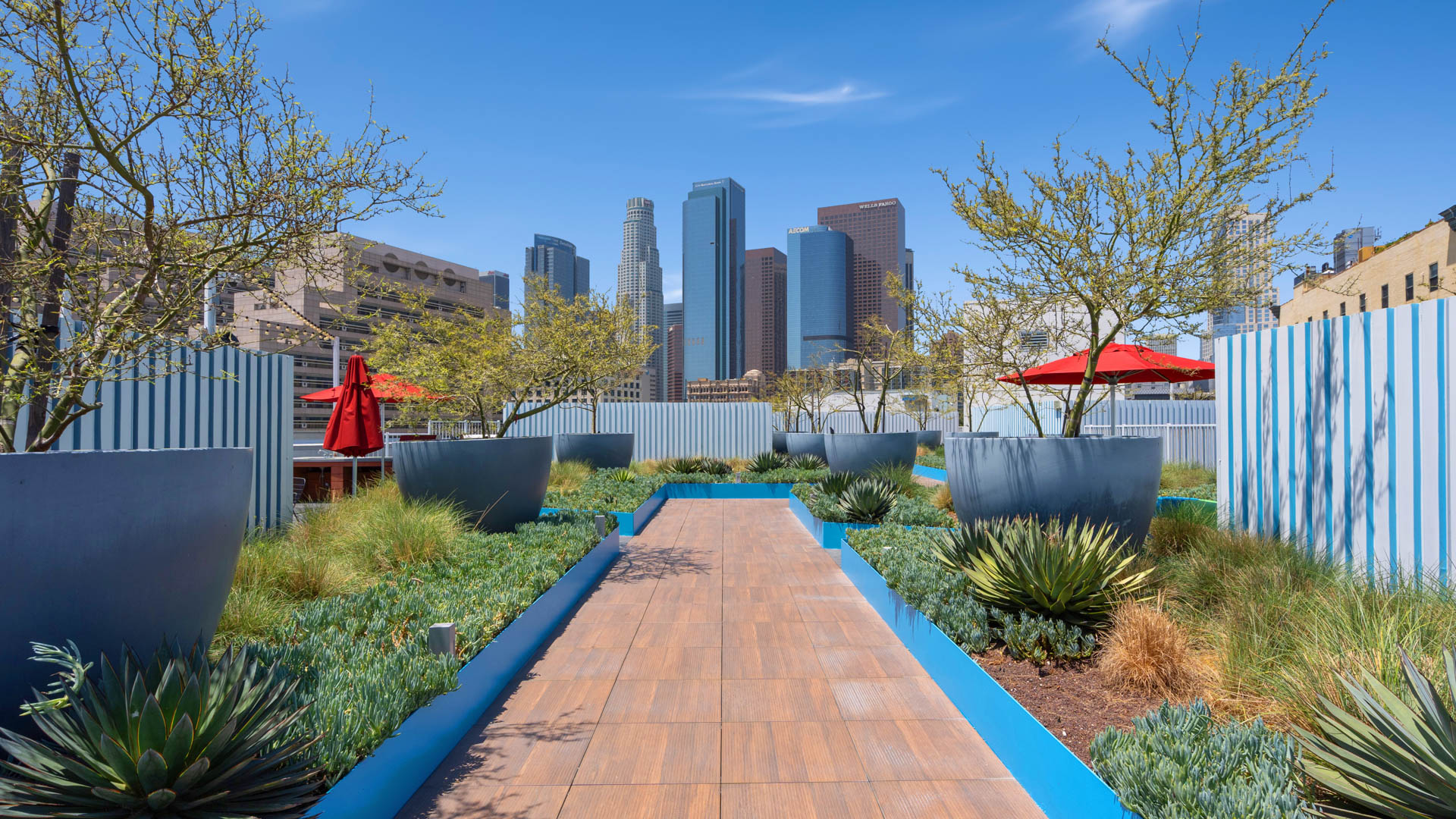 Roof deck at STOA Apartments (2 of 5)
