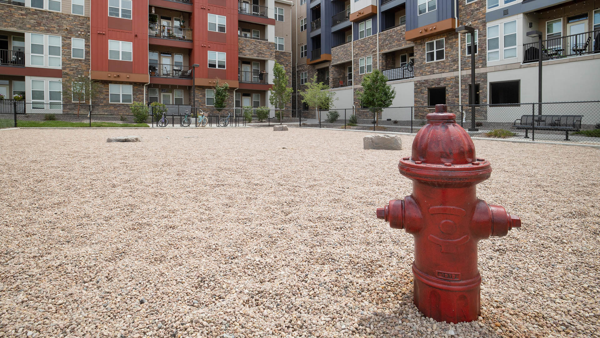 Dog park at The Brodie Apartments (1 of 4)