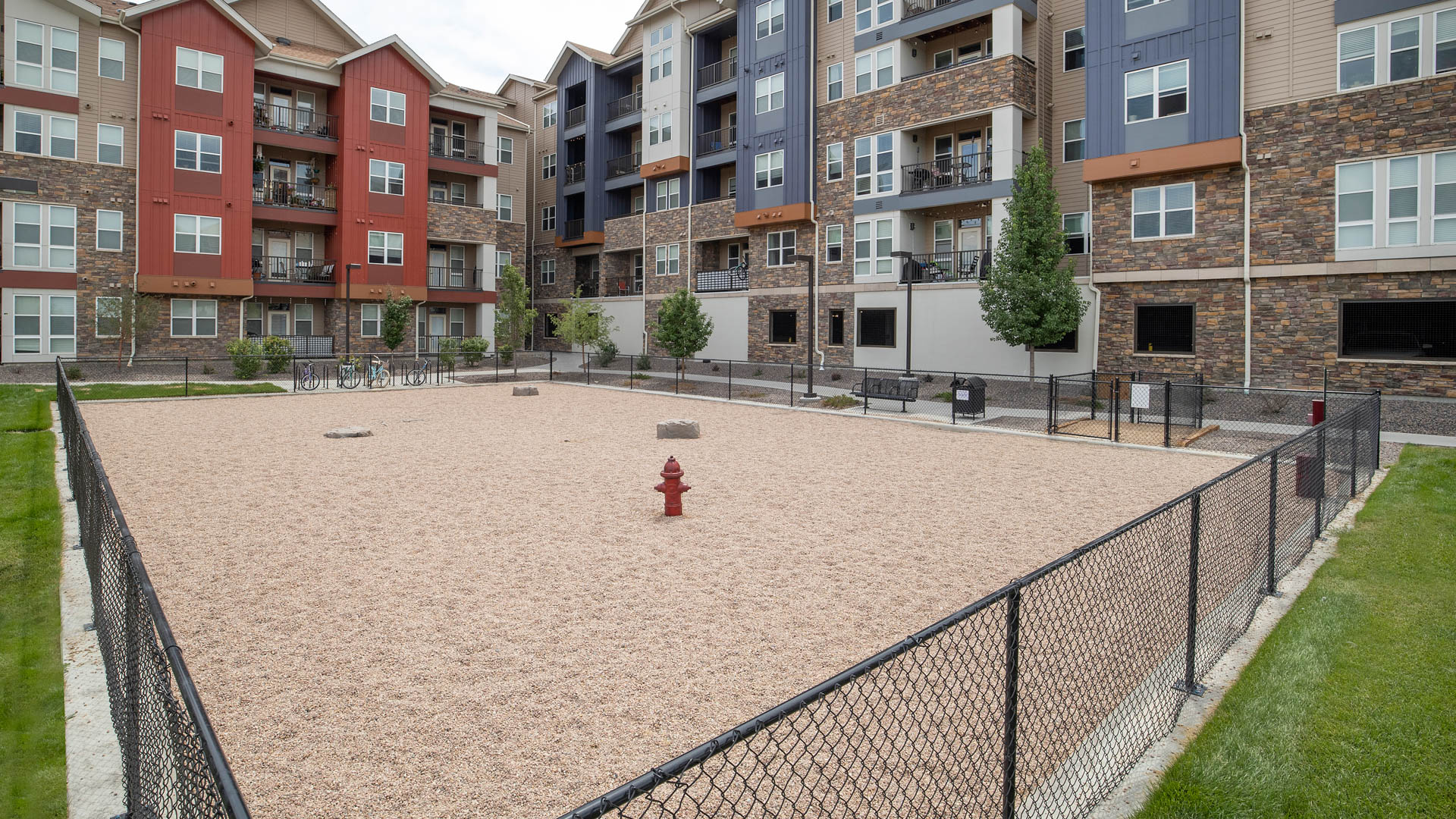 Dog park at The Brodie Apartments (3 of 4)