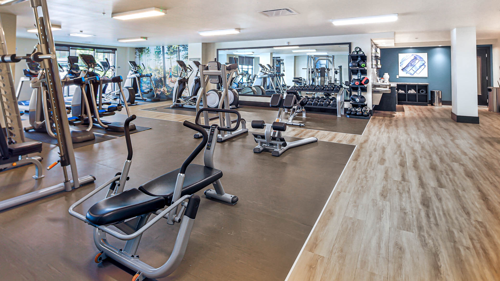 Gym at Saxton Apartments (1 of 2)
