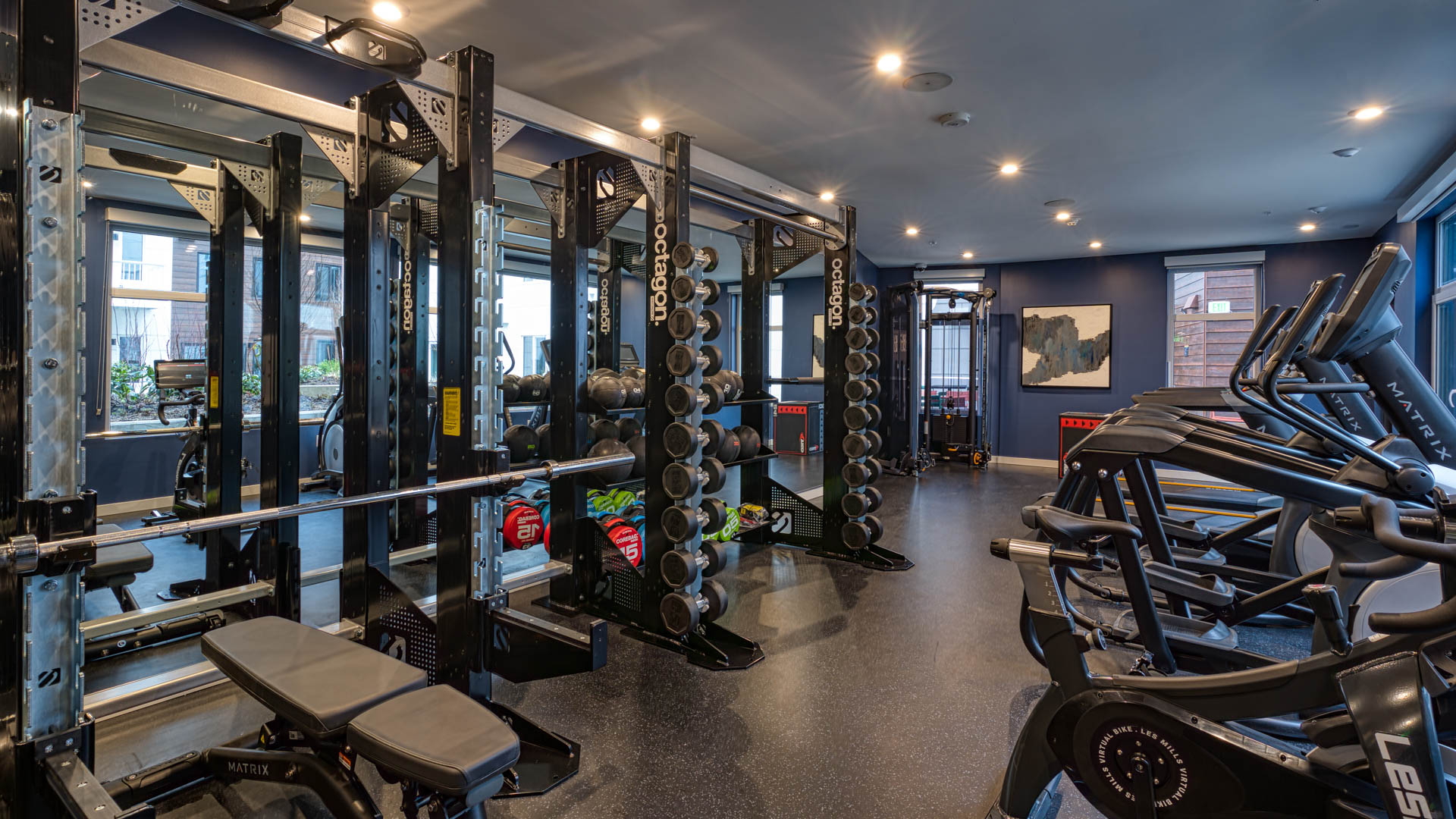 Gym at Zephyr on the Park Apartments