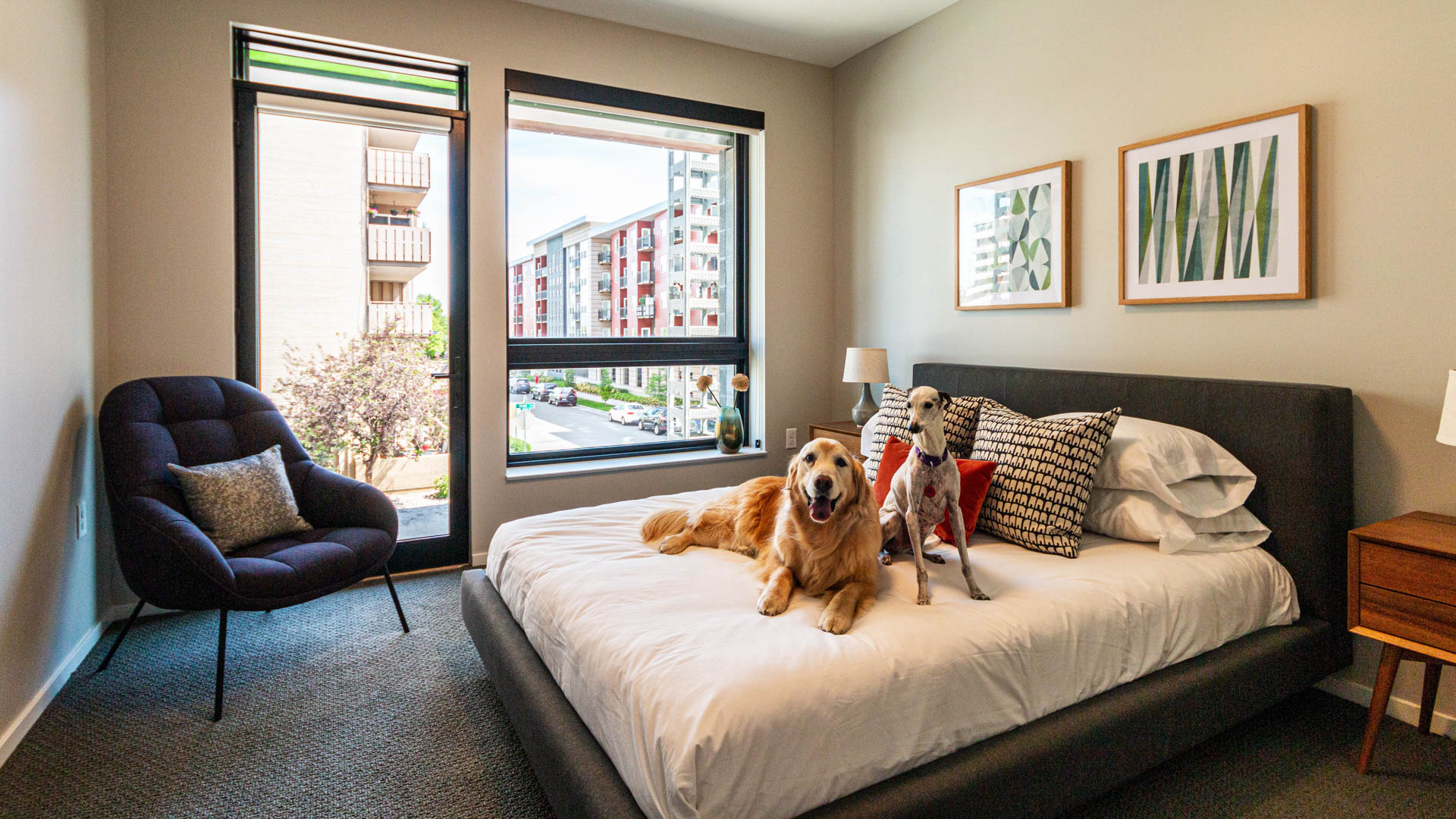 Milo Apartments 38 of 45