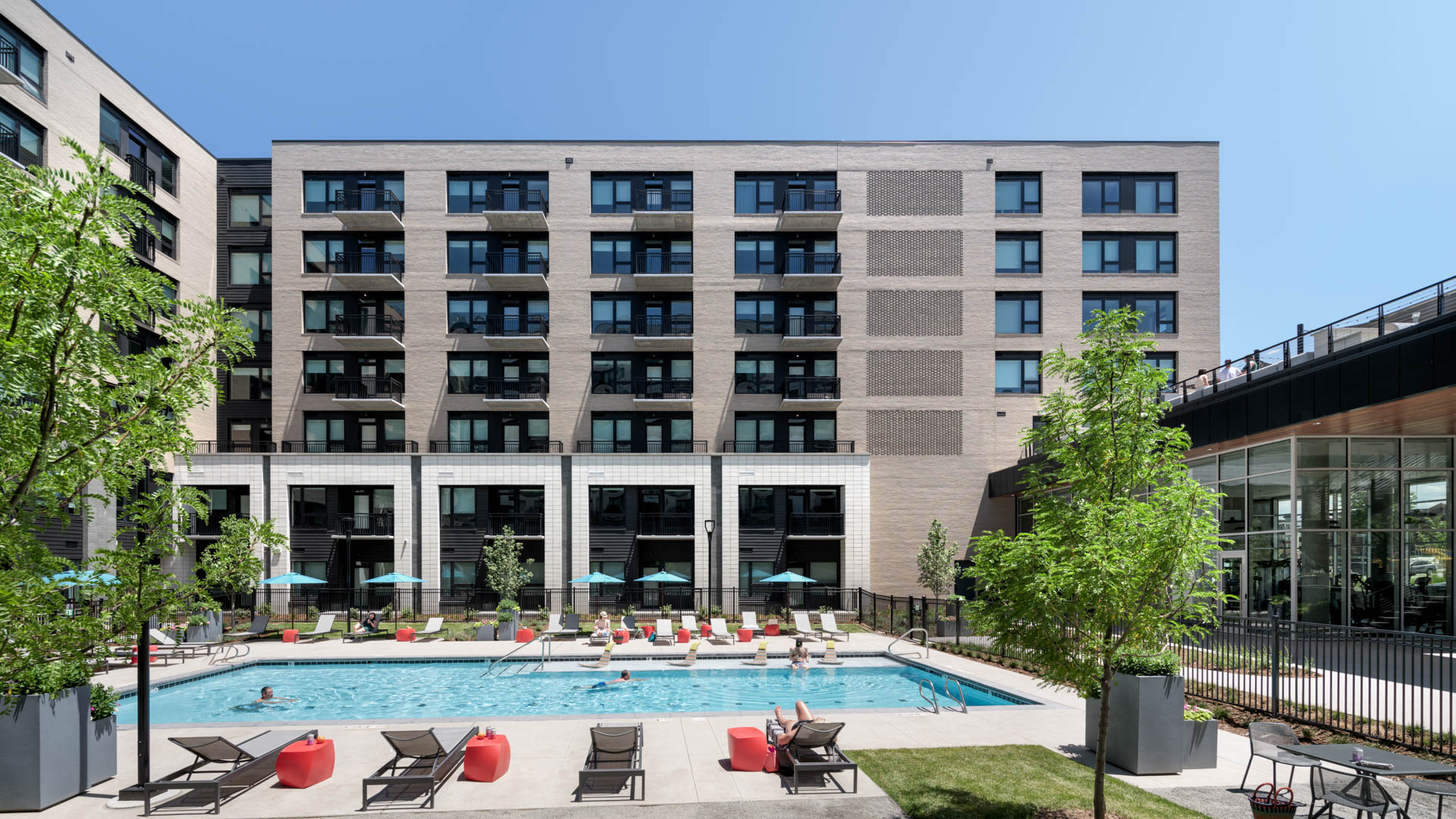 Pool at Milo Apartments