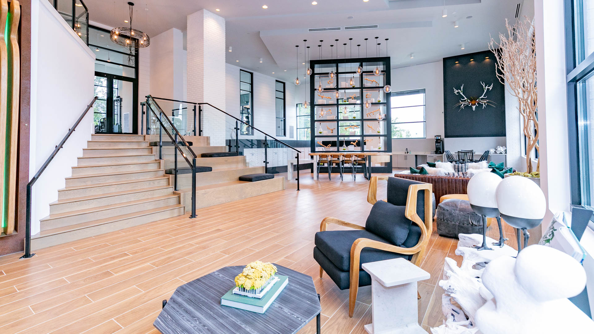 Luna Upper Westside Apartments 3 of 12