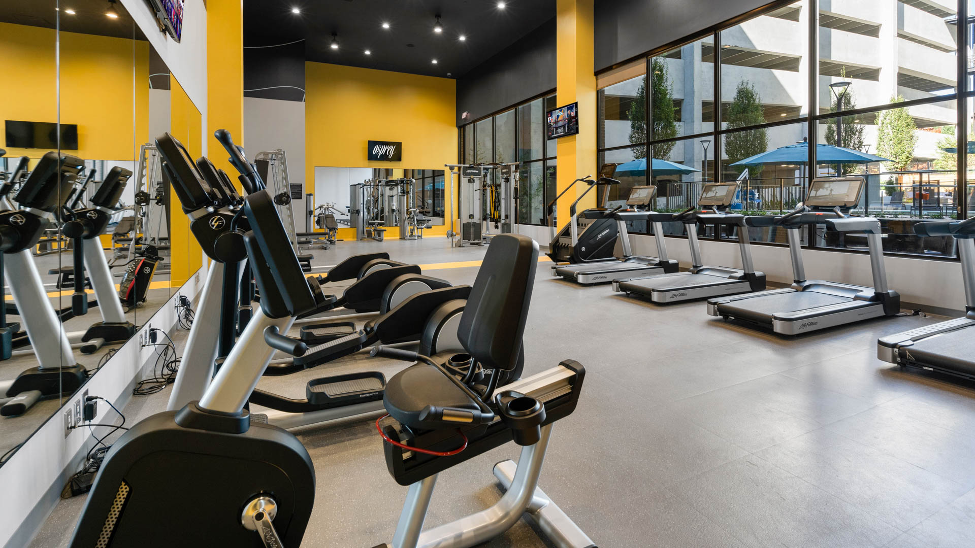Gym at Osprey Apartments (1 of 4)