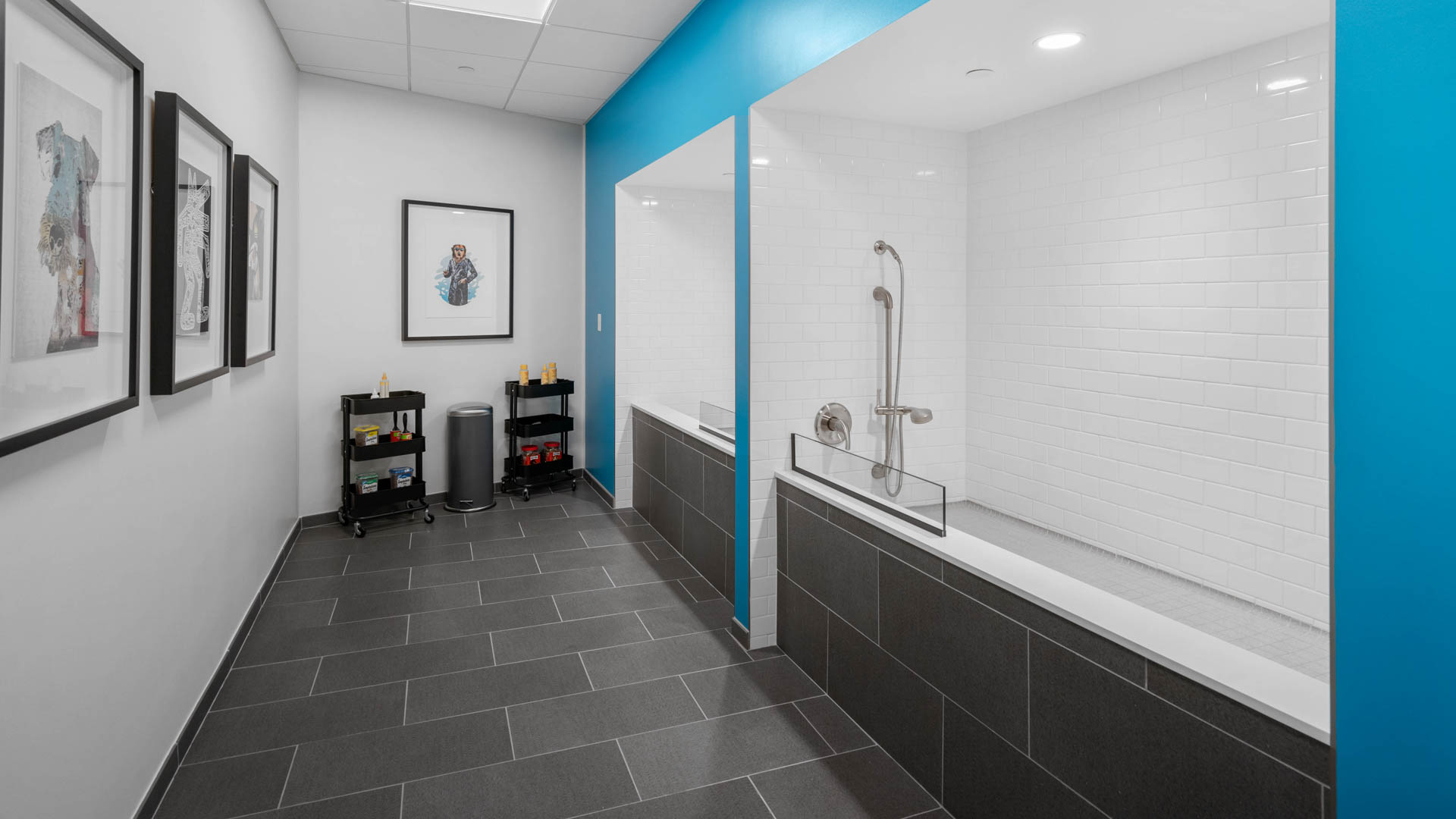 Pet wash at Osprey Apartments