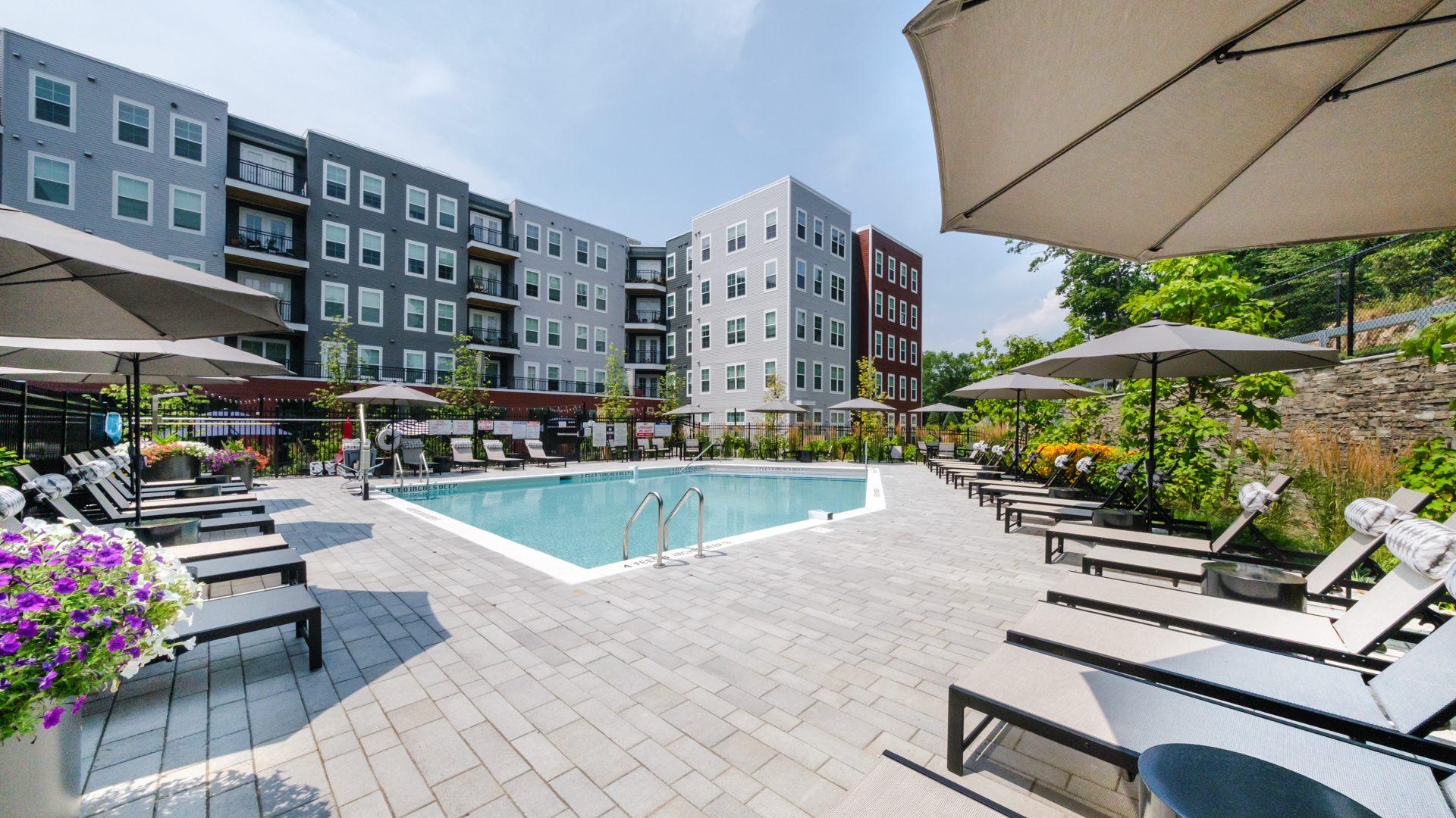 Pool at Alexan Harrison Apartments (1 of 2)