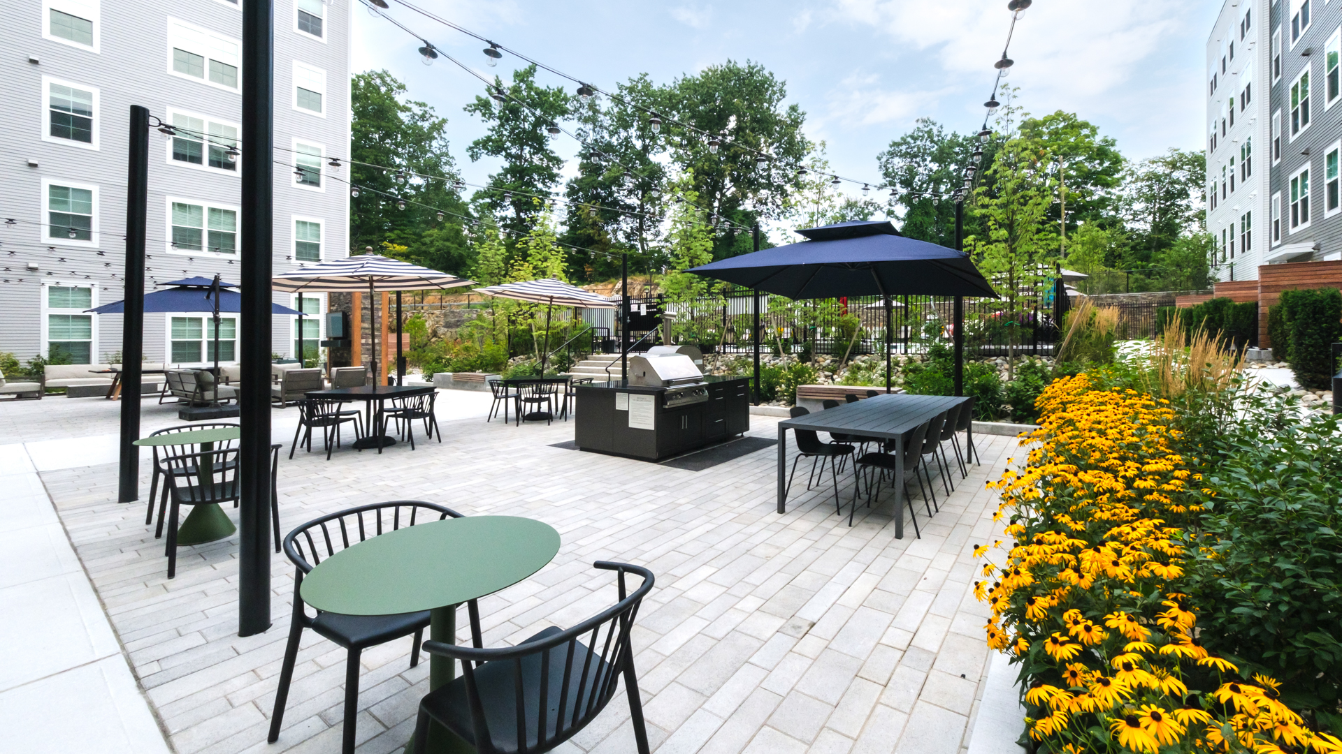 Courtyard at Alexan Harrison Apartments (2 of 8)