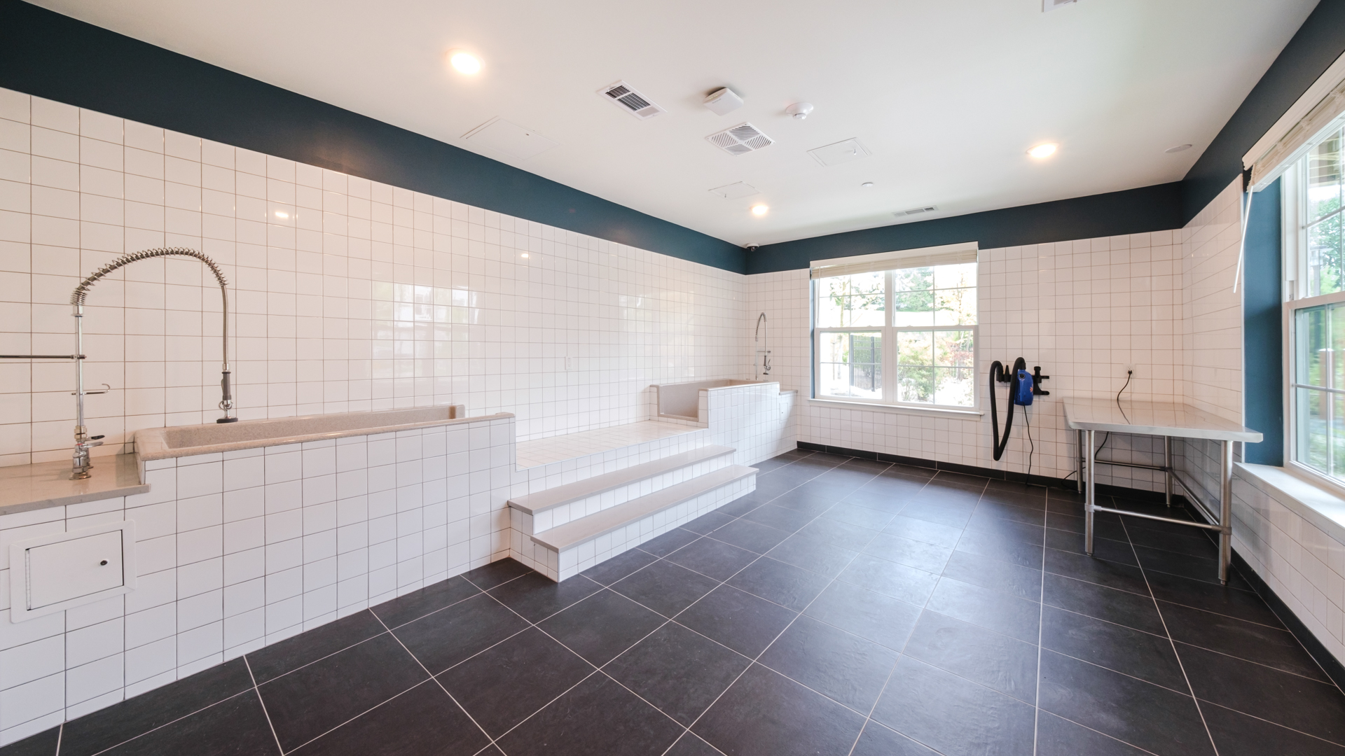 Pet wash at Alexan Harrison Apartments