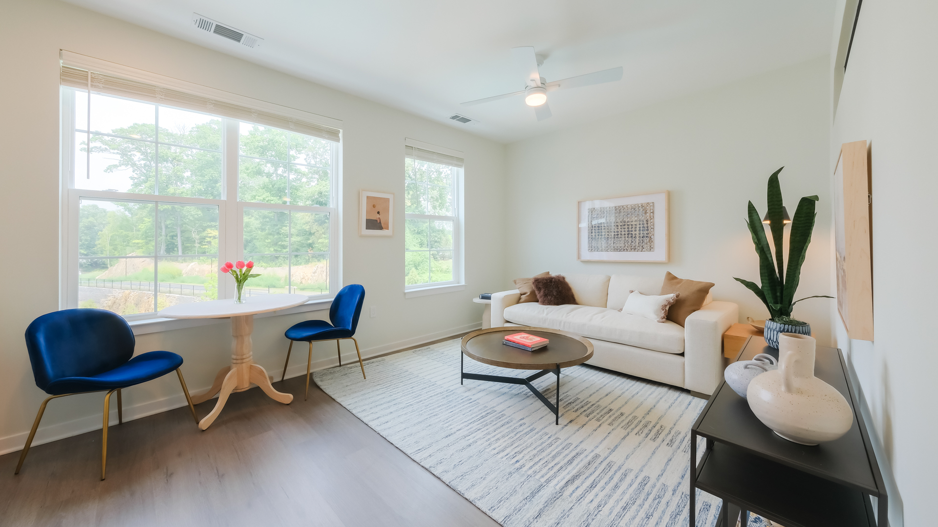 Alexan Harrison Apartments 21 of 120
