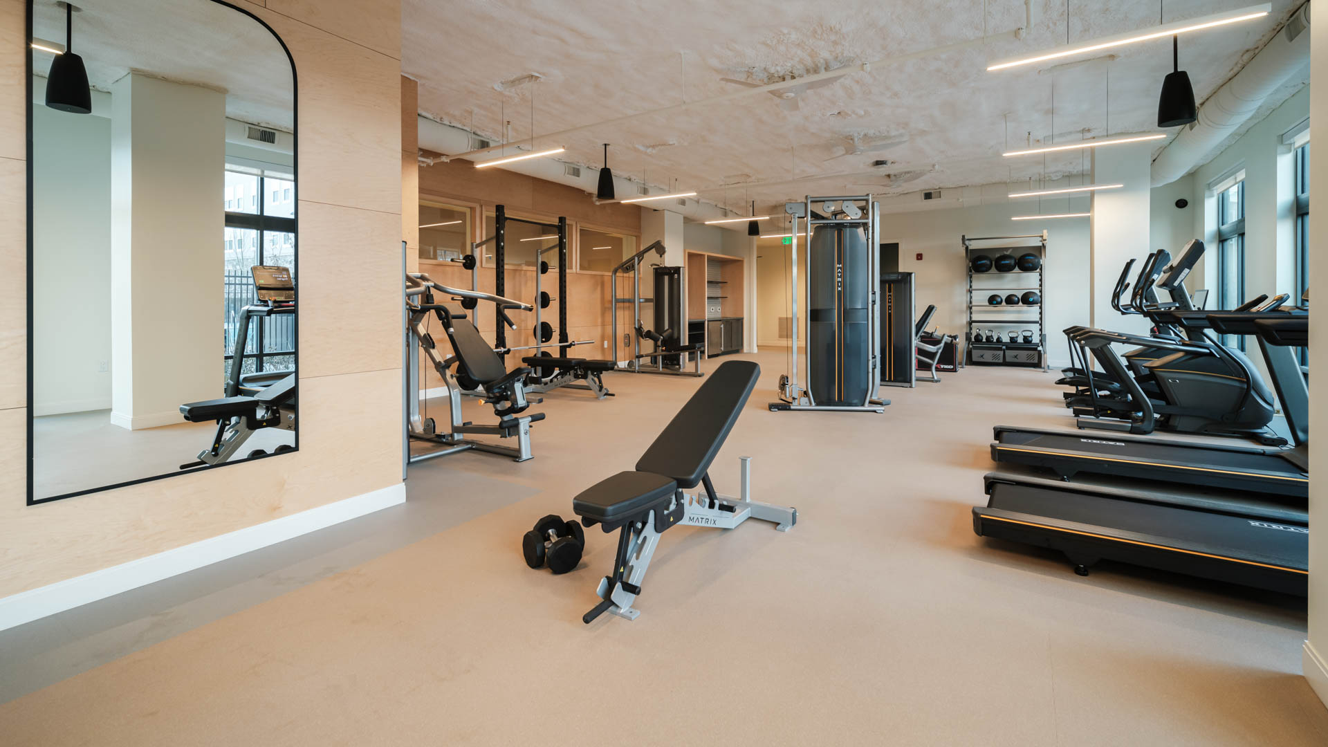 Gym at Alexan Harrison Apartments (4 of 5)