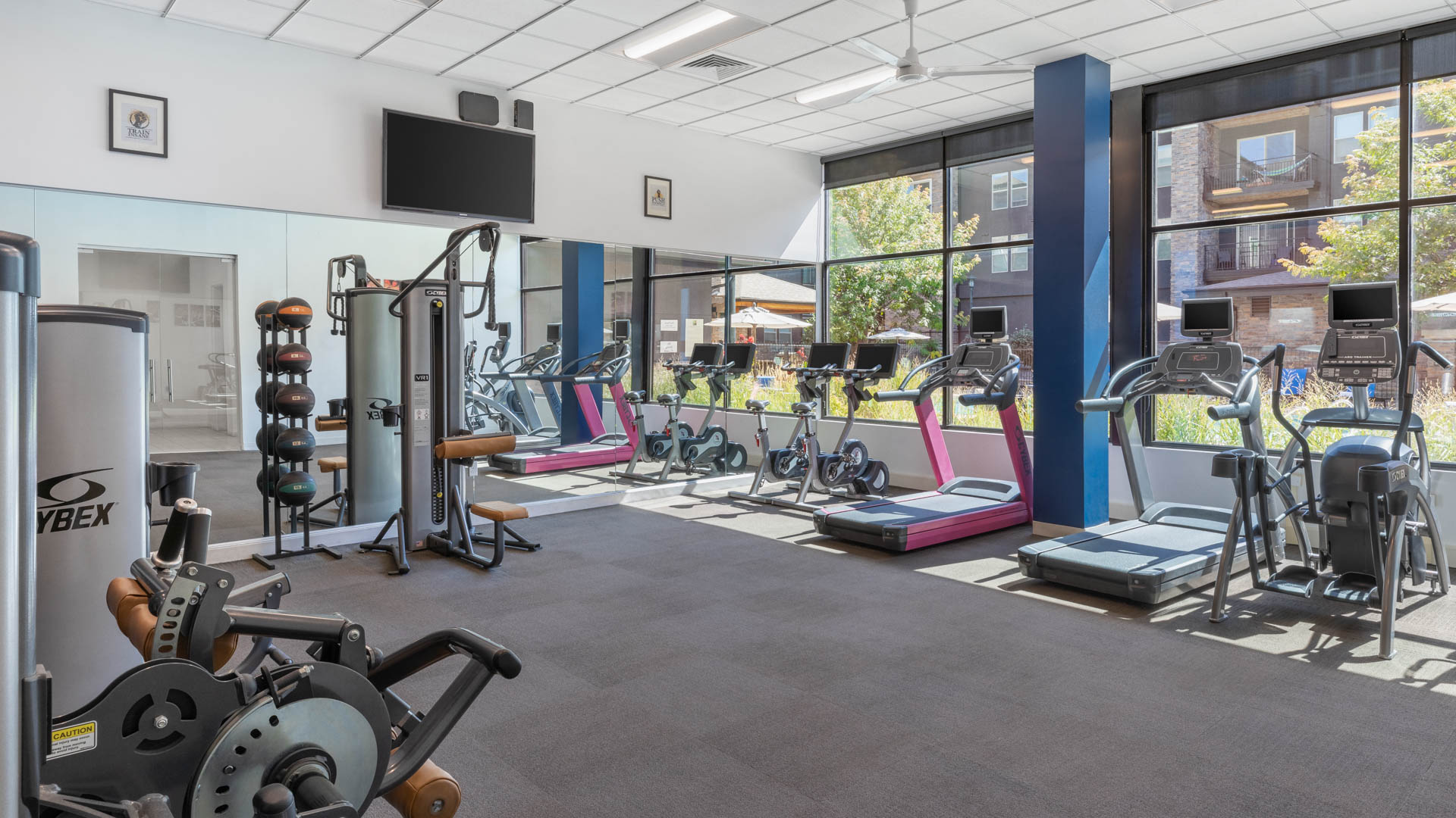 Gym at Arbour Square Apartments