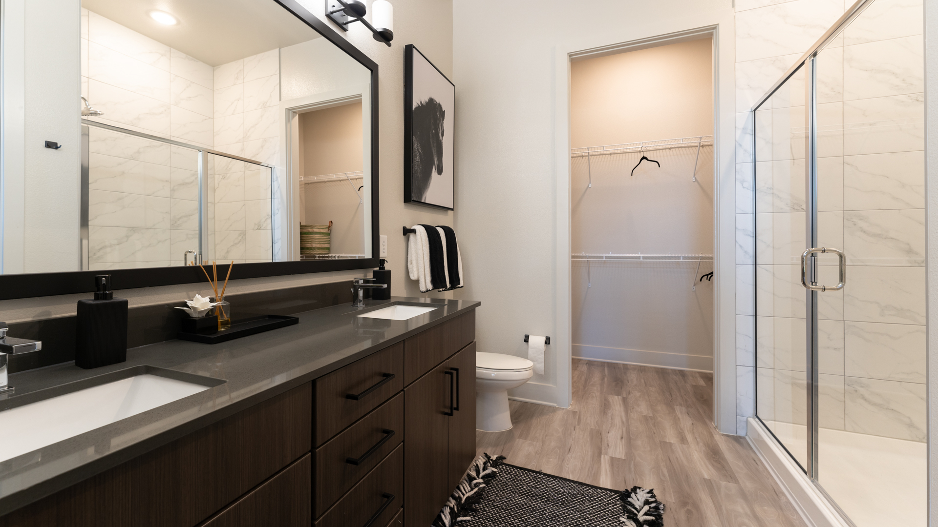 Ayla Stonebriar Apartments 11 of 12