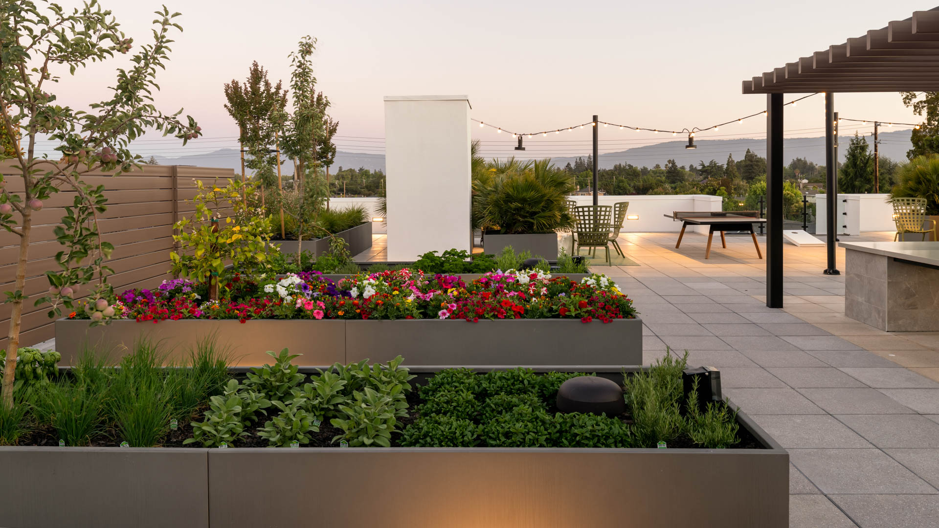 Roof deck at Lorien Apartments (6 of 6)