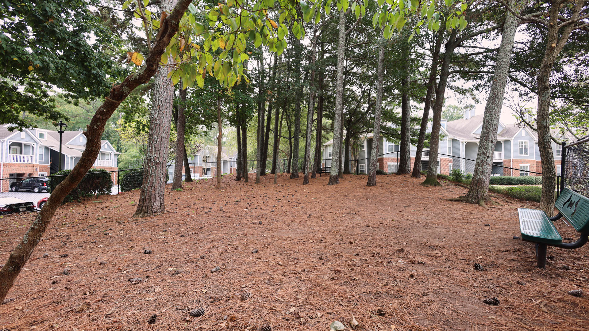 Dog park at Lex Alpharetta Apartments (2 of 2)