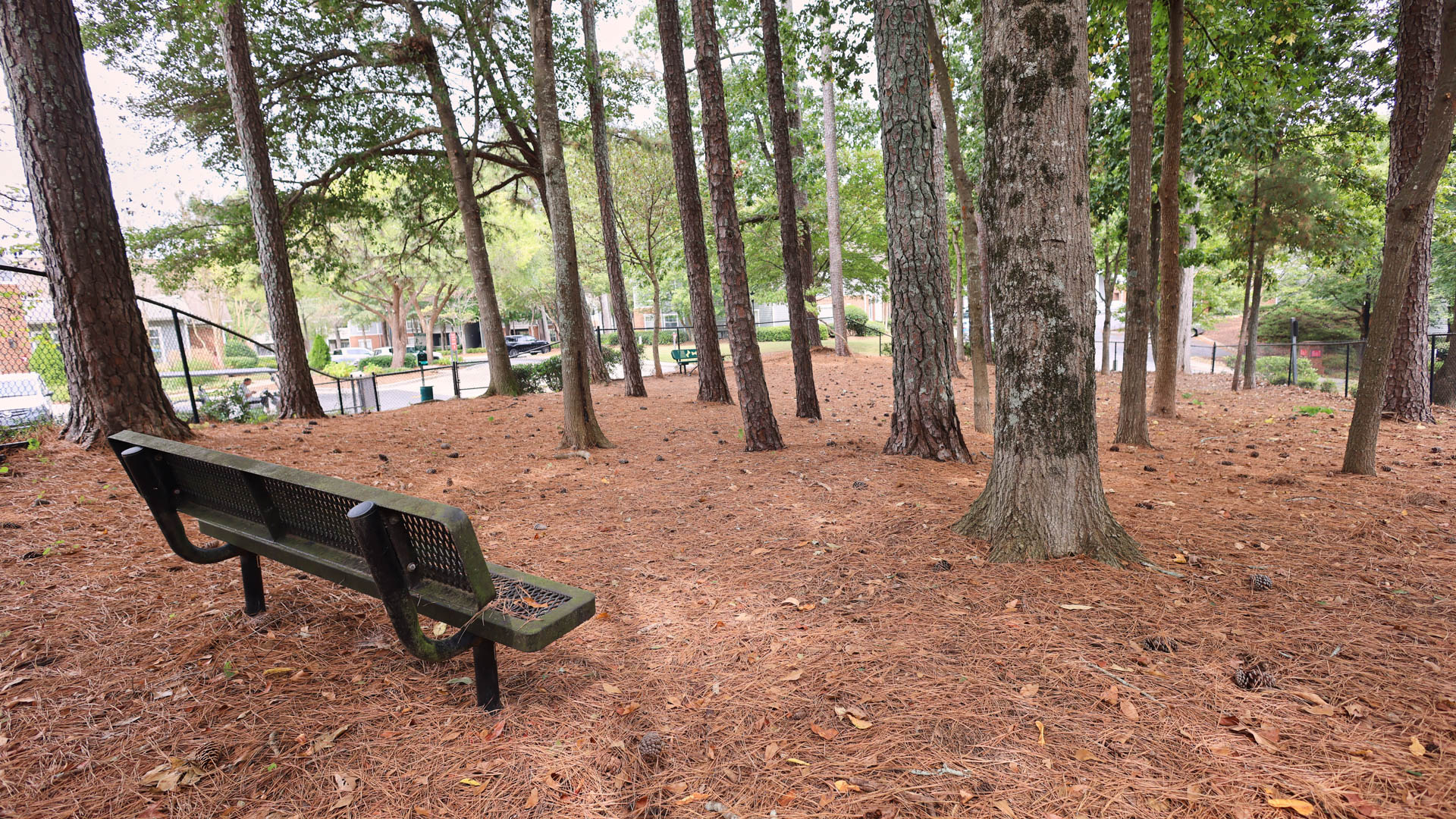 Dog park at Lex Alpharetta Apartments (1 of 2)