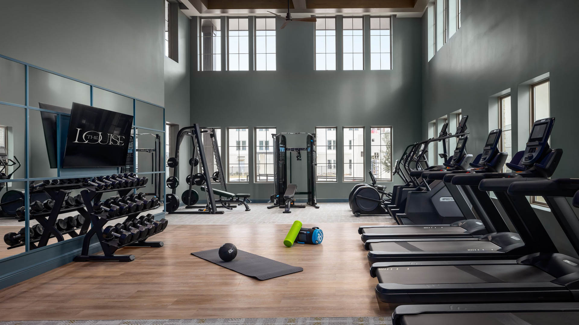 Gym at The Louise Townhomes (1 of 2)