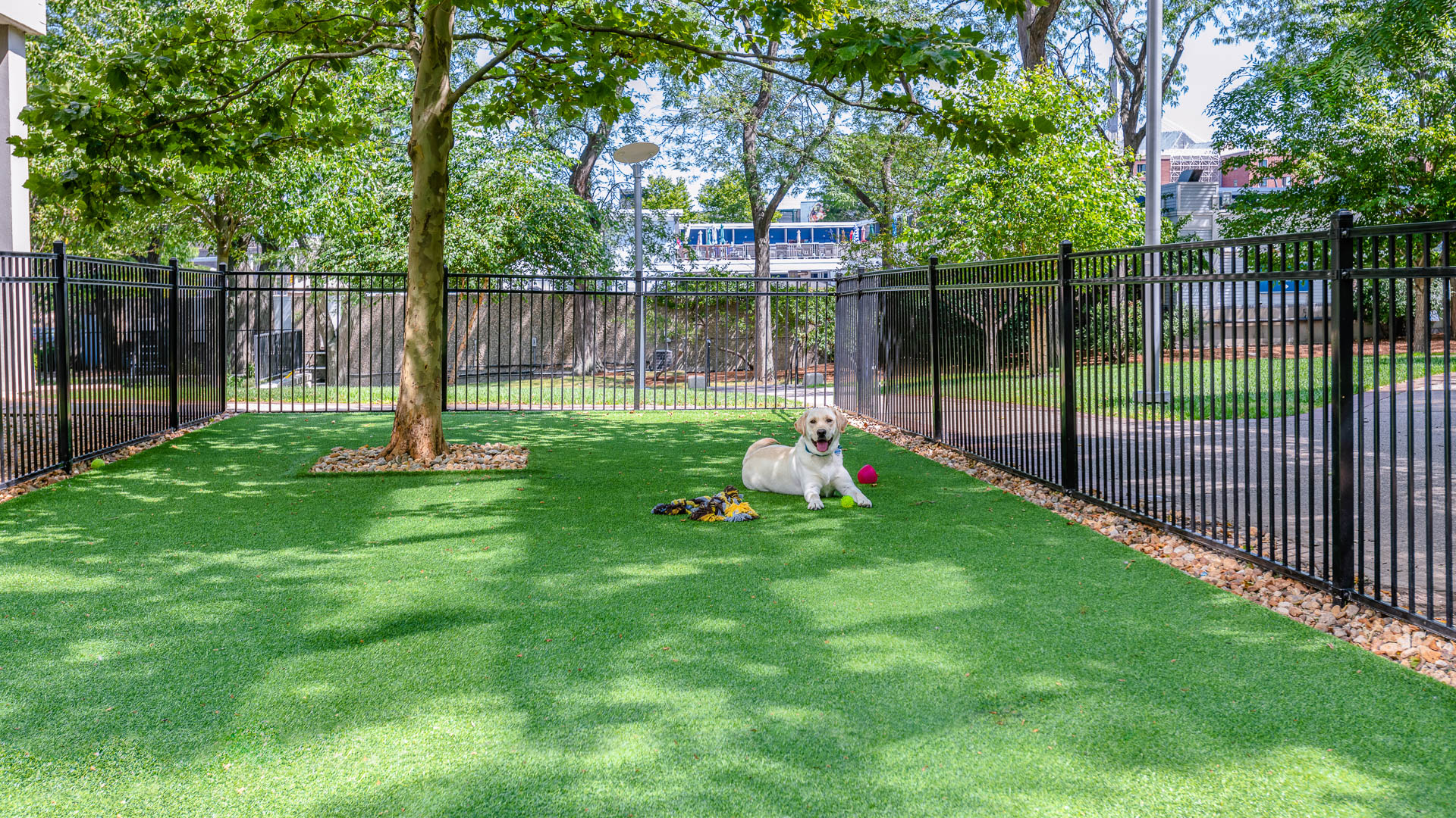 Dog park at Emerson Place Apartments