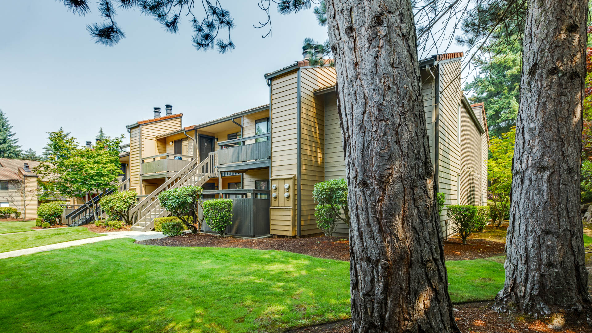 Bellevue Meadows Apartments 3 of 12