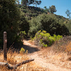 Canyon Ridge Apartments - Hiking