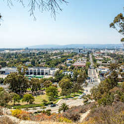 Victor on Venice Apartments - Neighborhood 