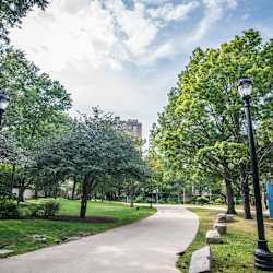 The West End Apartments-Asteria, Villas and Vesta - Neighborhood 