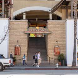 Acappella Pasadena Apartments - Neighborhood 
