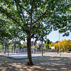 Girard Apartments - Neighborhood
