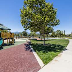 The Lex Apartments - Neighborhood