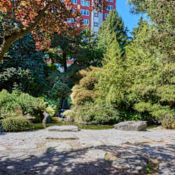 Saxton Apartments - Neighborhood