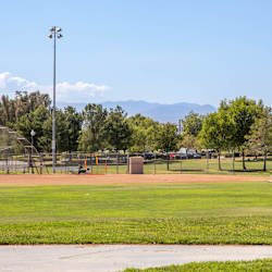 Northglen Apartments  - Neighborhood 