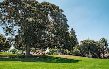 Canyon Ridge Apartments -Park