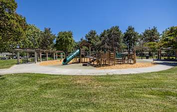 Verde Apartments - Neighborhood