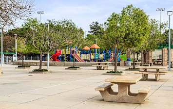 Del Mar Ridge Apartments - Neighborhood