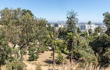 Vantage Hollywood Apartments - Neighborhood