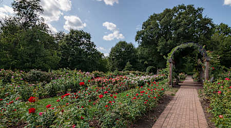 Sheffield Court Apartments - Garden