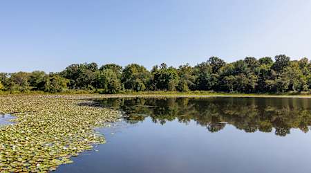 Mosaic at Metro Apartments - Waterfront Activities