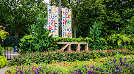 2501 Porter Apartments - Neighborhood