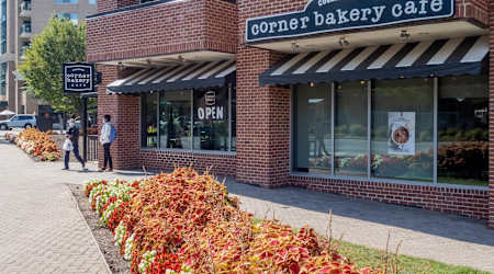 2201 Wilson Apartments - Neighborhood