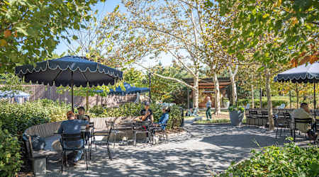 Water Park Towers Apartments - Neighborhood
