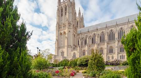 Alban Towers Apartments - Neighborhood